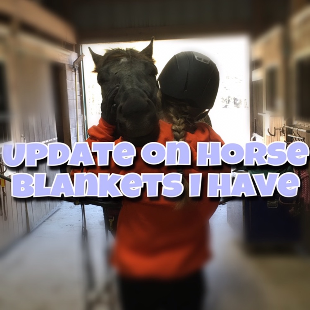 Horse blankets update